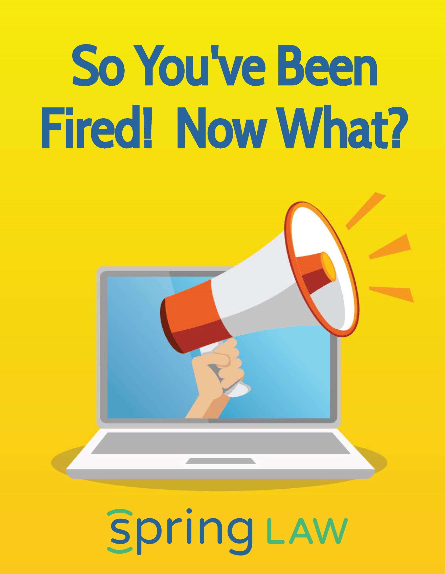 So You’ve Been Fired – EBook